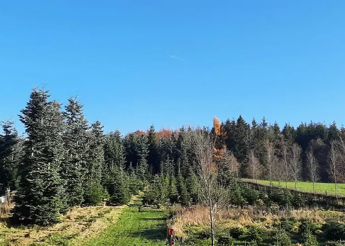 Duplex Au Chat'rme Des Blanches Pierres Appartamento Francorchamps